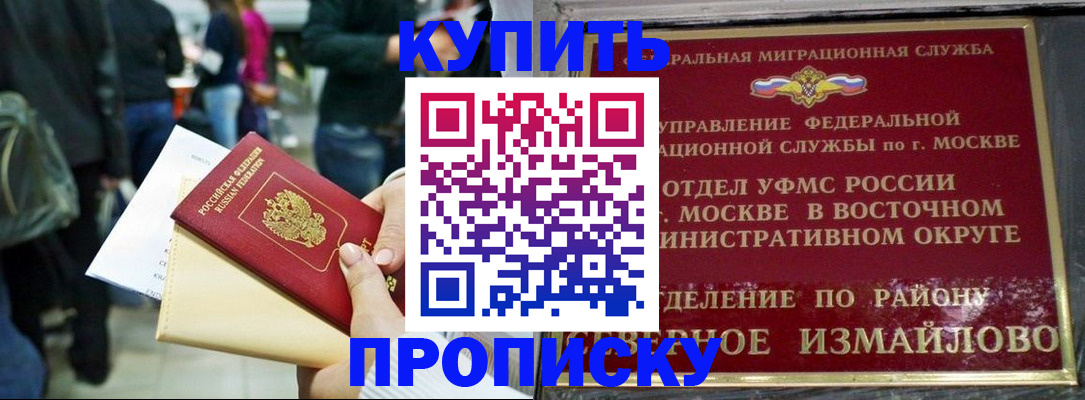 временная прописка в Новодвинске